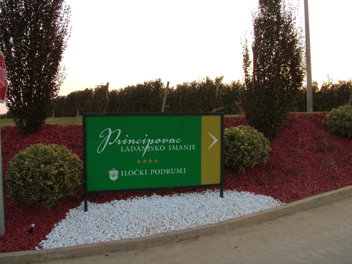 مبيت وإفطار إيلوك Ladanjsko Imanje Principovac المظهر الخارجي الصورة